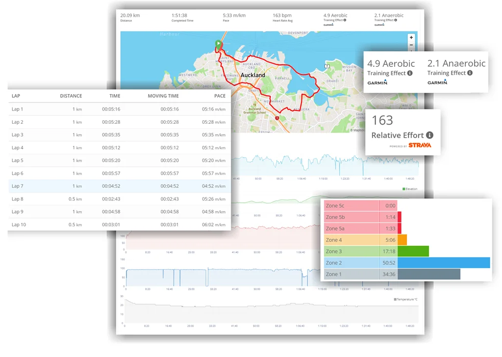 Analyze Workout Data